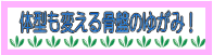 �̌^�������ς��Ă��܂����Ղ̂䂪��